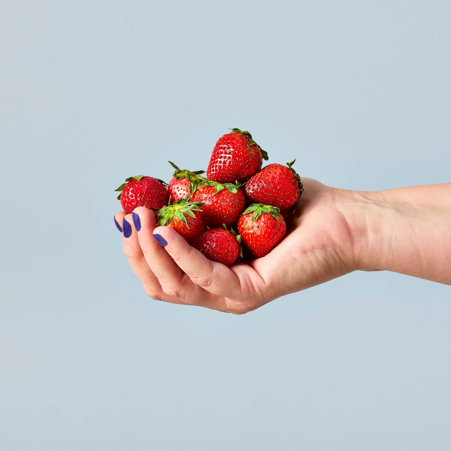 Garden Seed Pop: Strawberry