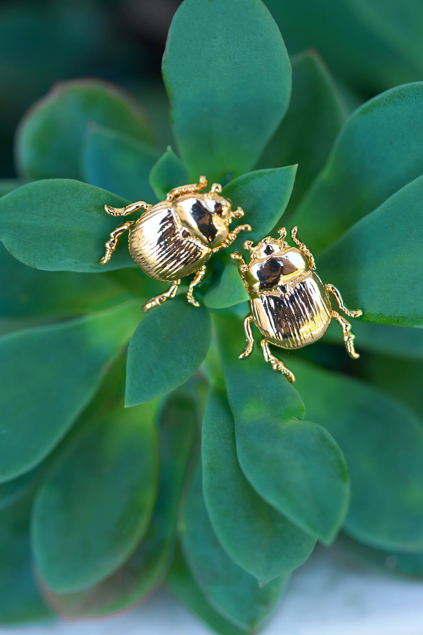Fortune Beetle Studs - 18K Gold Plated