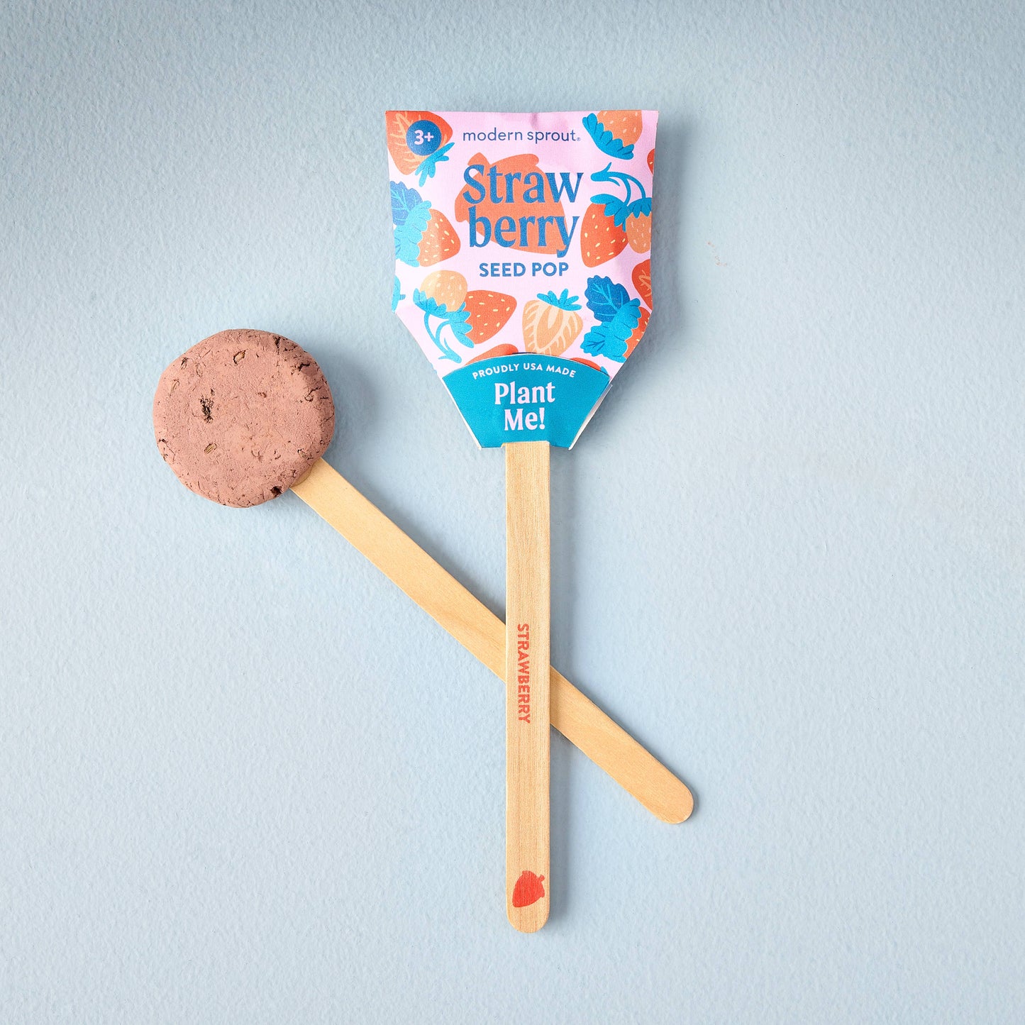Garden Seed Pop: Strawberry