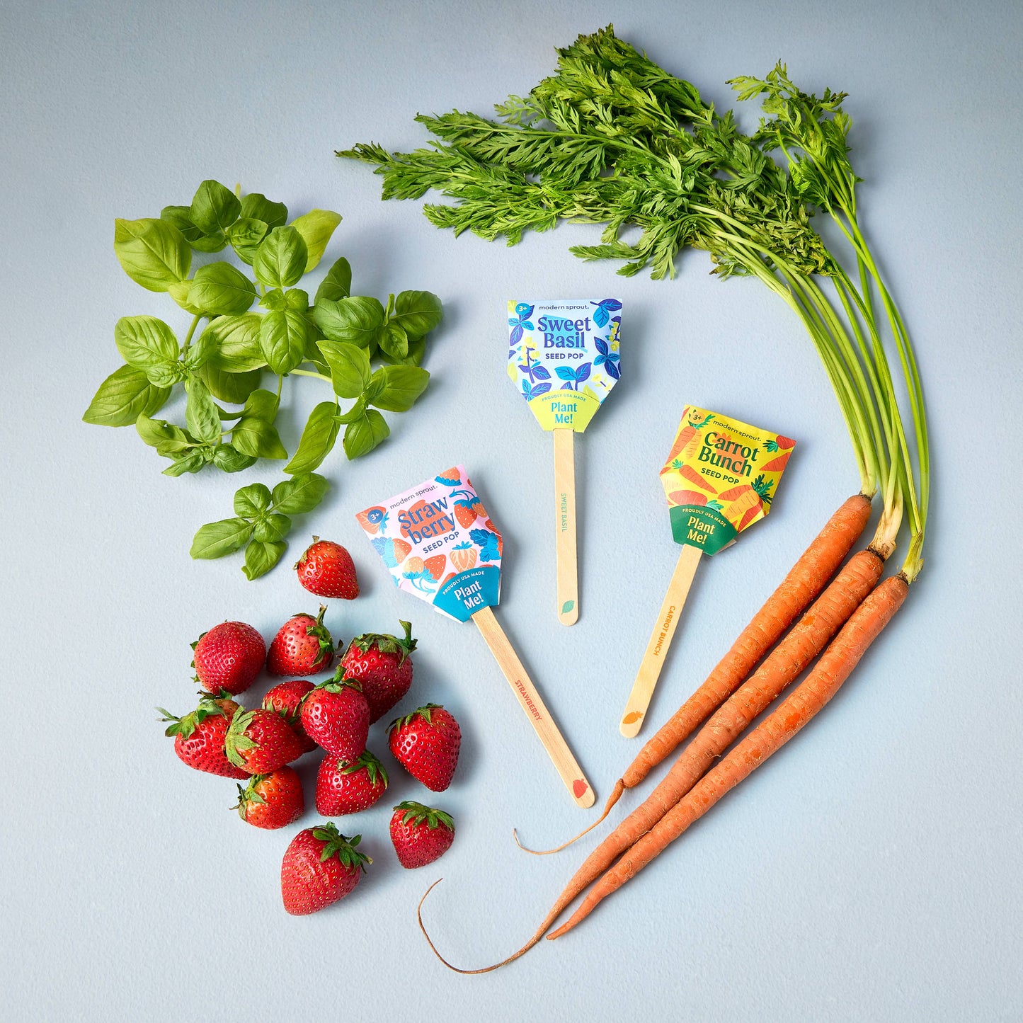 Garden Seed Pop: Strawberry