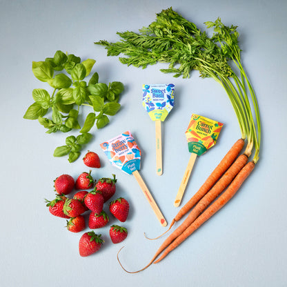 Garden Seed Pop: Strawberry
