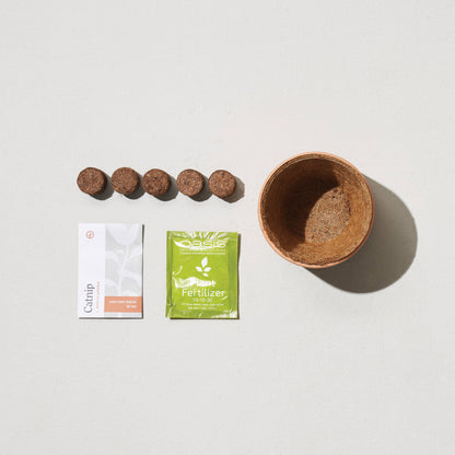 Tiny Terracotta Grow Kits: Thank You Daisy