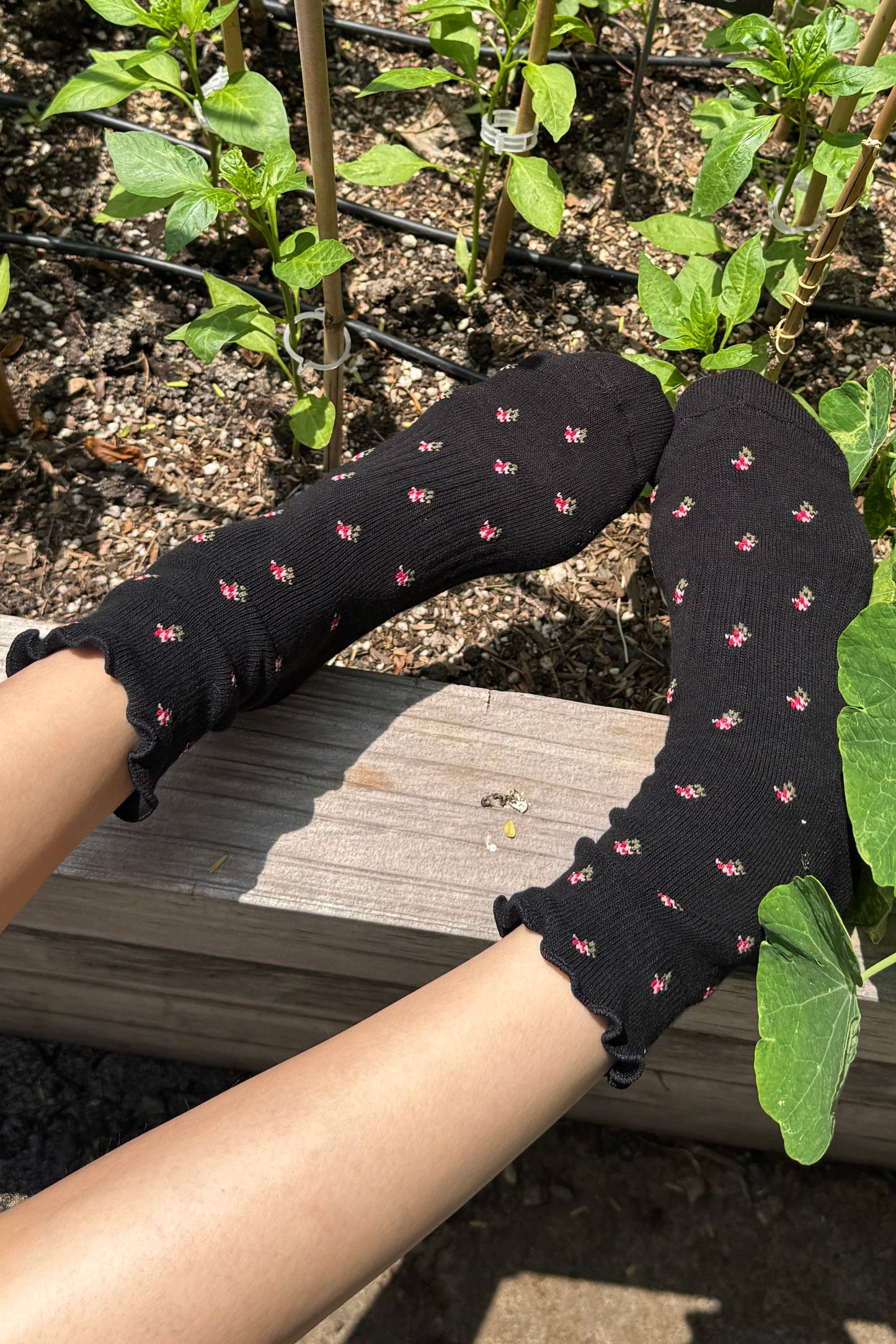 Petal Ruffled Hugger Crew Socks: Black