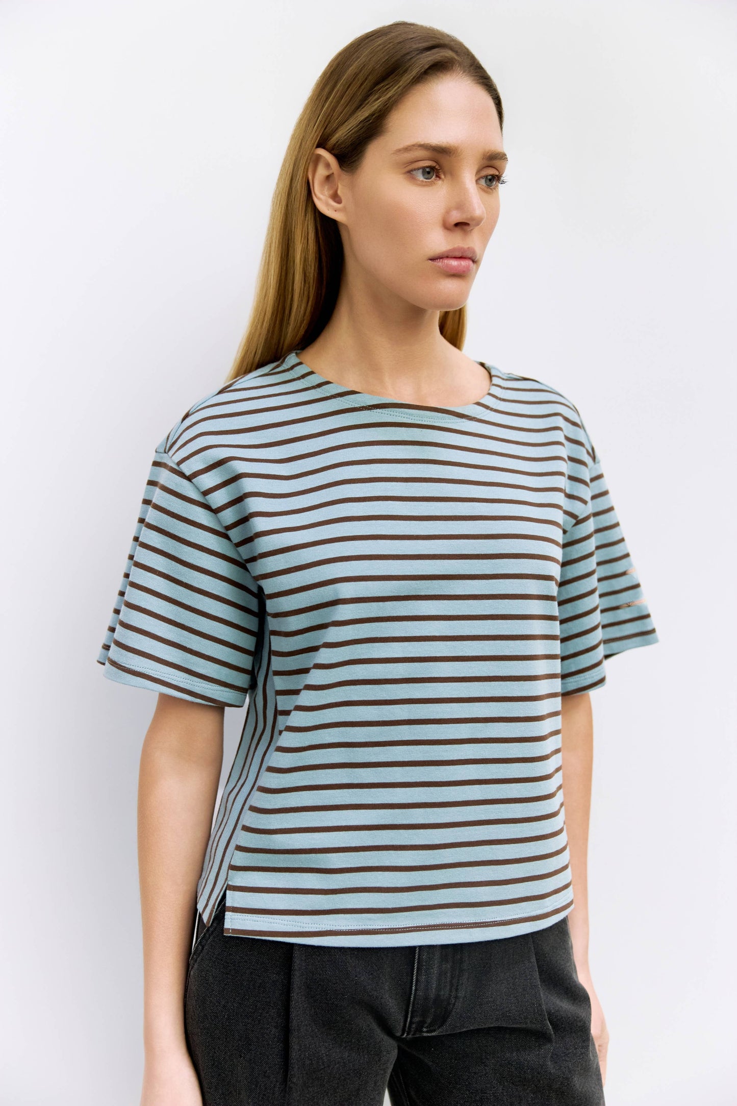 The Cassandra Top | Striped Elbow Tee: BLUE-BROWN