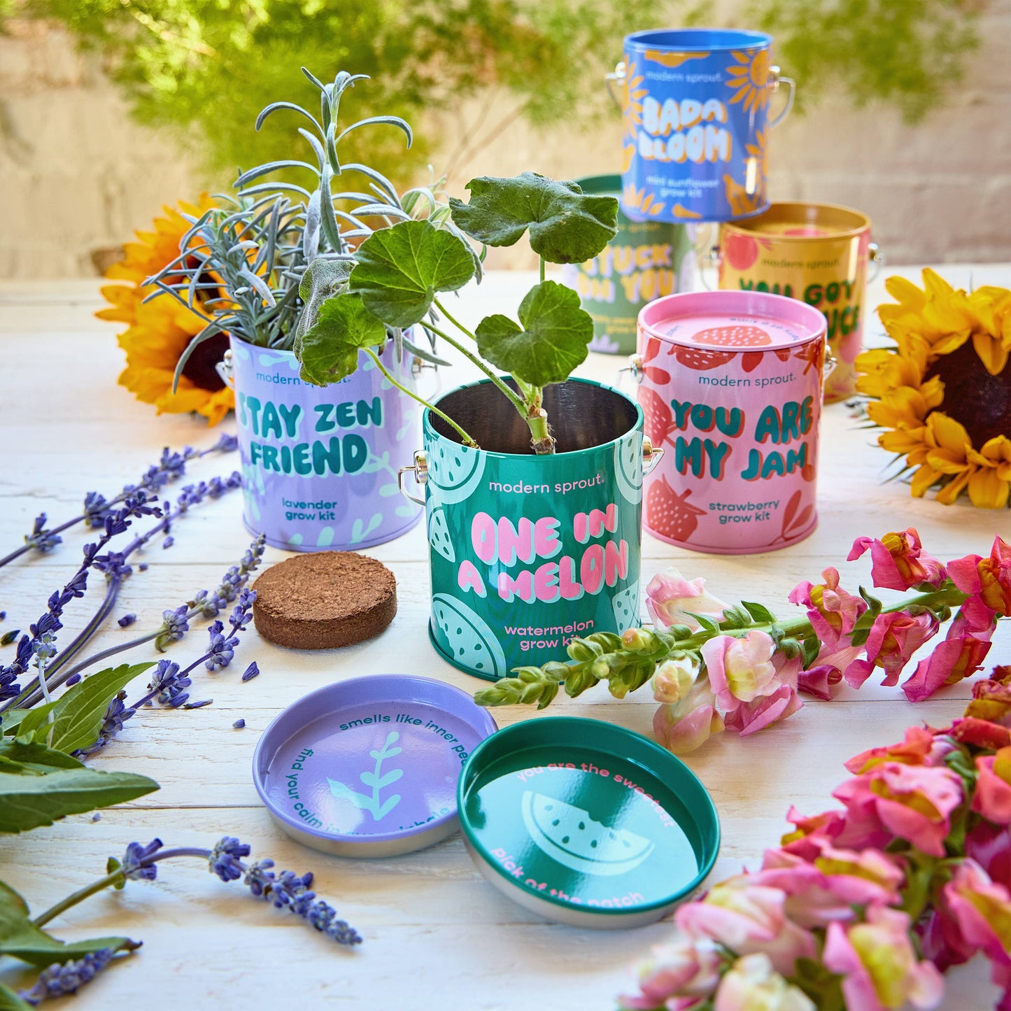 Complimentary Color Grow Kits: You are My Jam