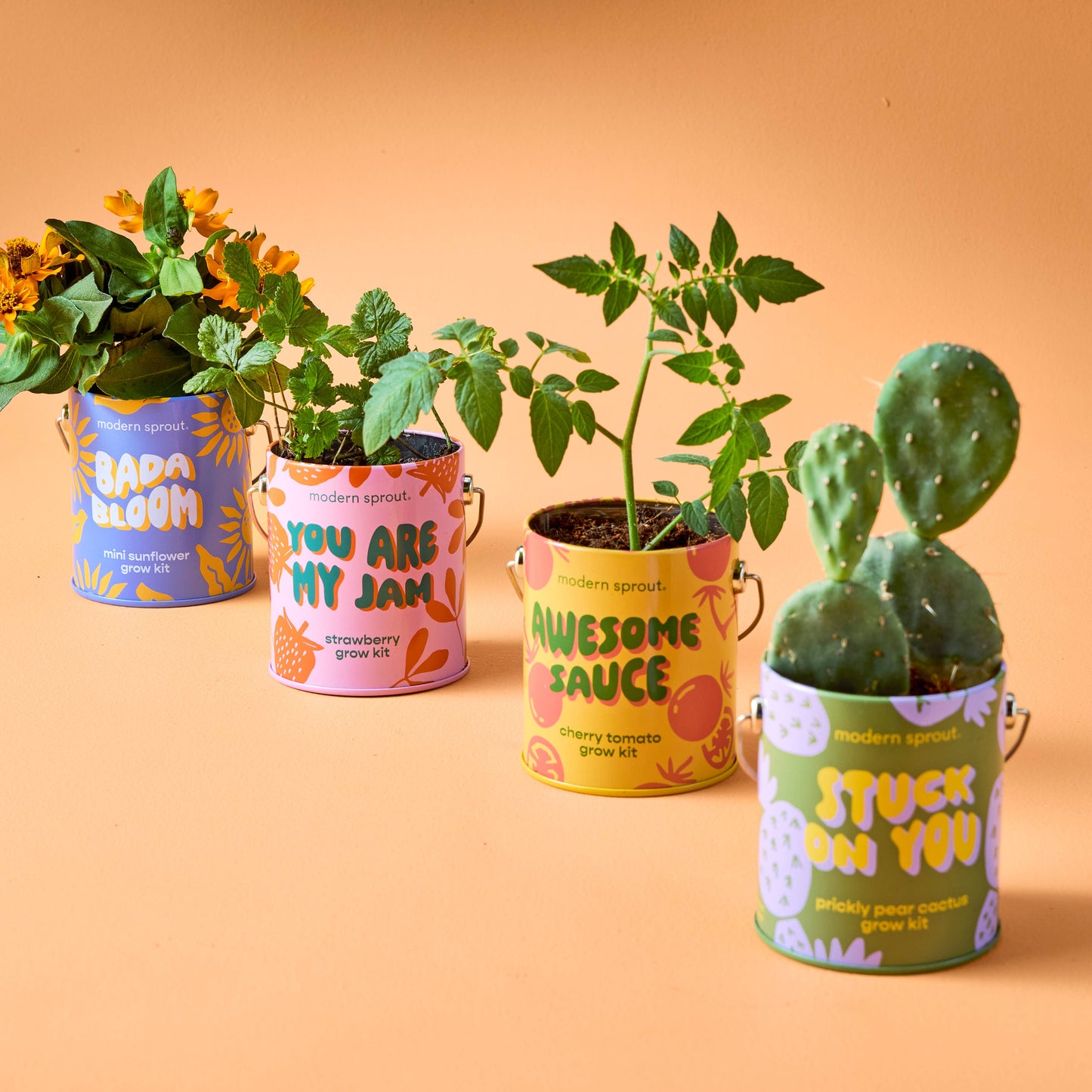Complimentary Color Grow Kits: You are My Jam