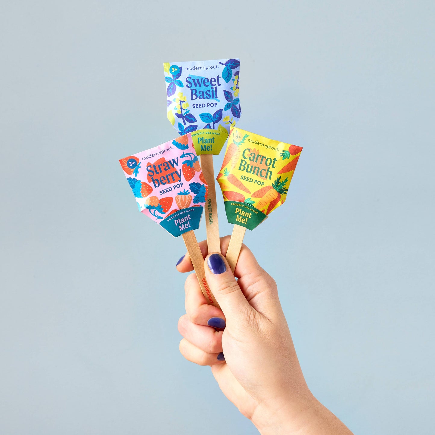 Garden Seed Pop: Strawberry