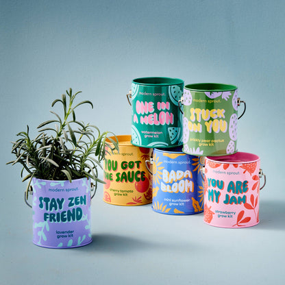 Complimentary Color Grow Kits: Bada Bloom