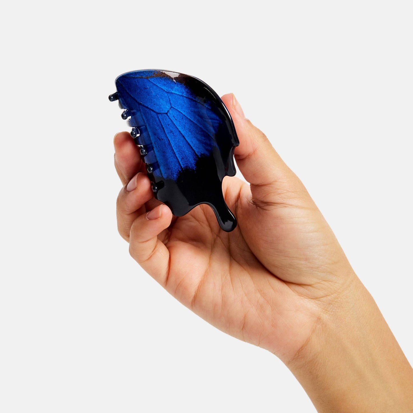 Swallowtail Butterfly Claw