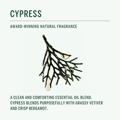 Corpus Cypress Shampoo