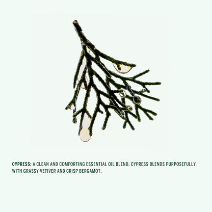 Corpus Cypress Conditioner