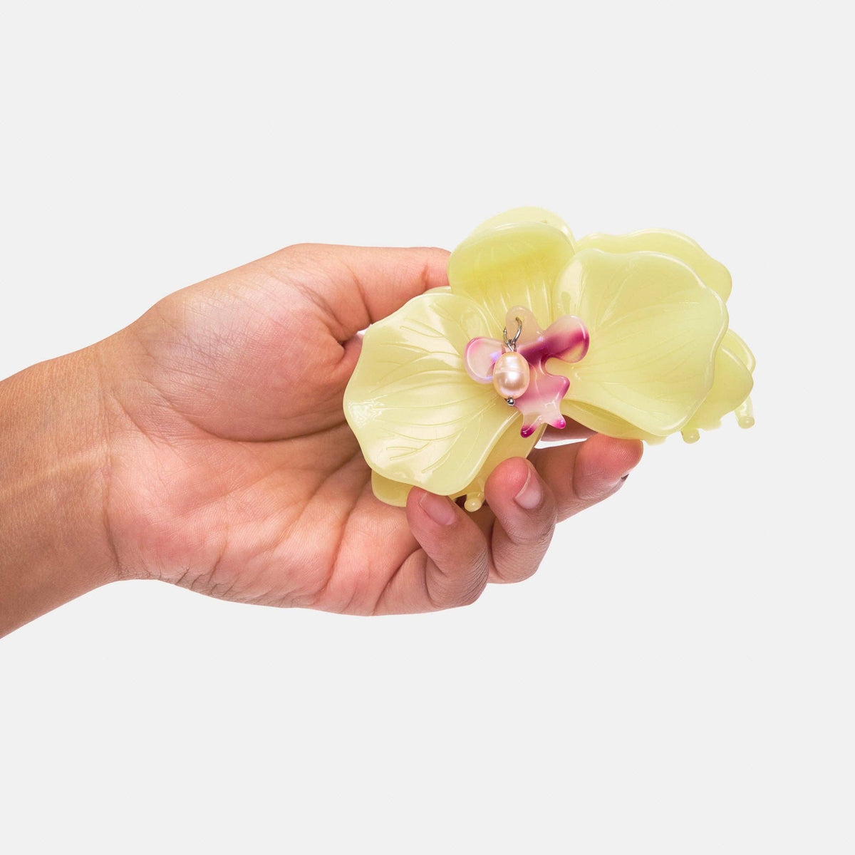 Orchid Claw in Citrine