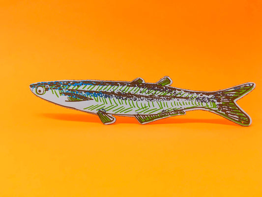 Fish "Any Fin is Possible" Bookmark in Pale Blue