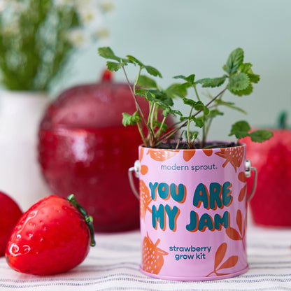 Complimentary Color Grow Kits: You are My Jam